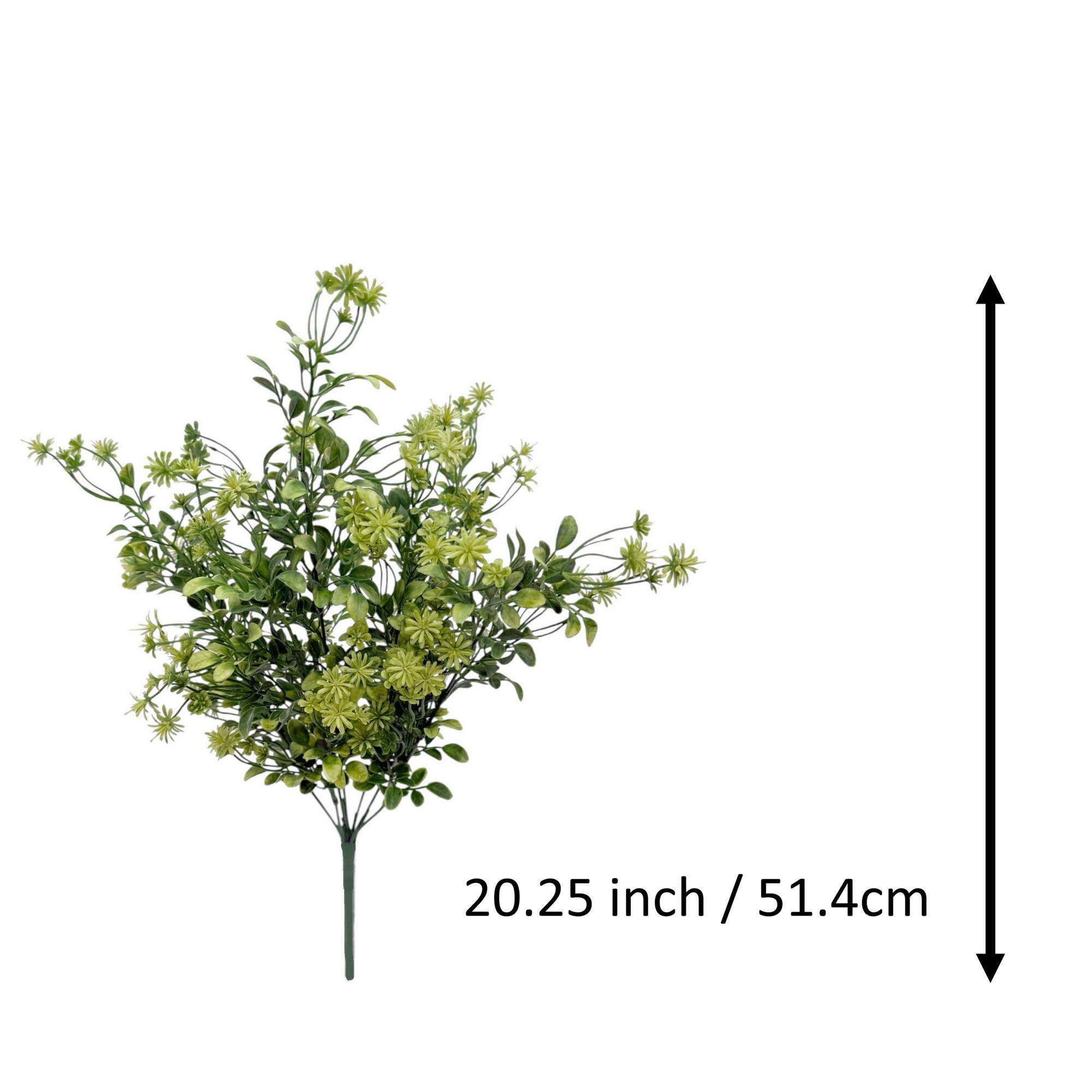 20.25" Blossom Boxwood Bush by Ashland®